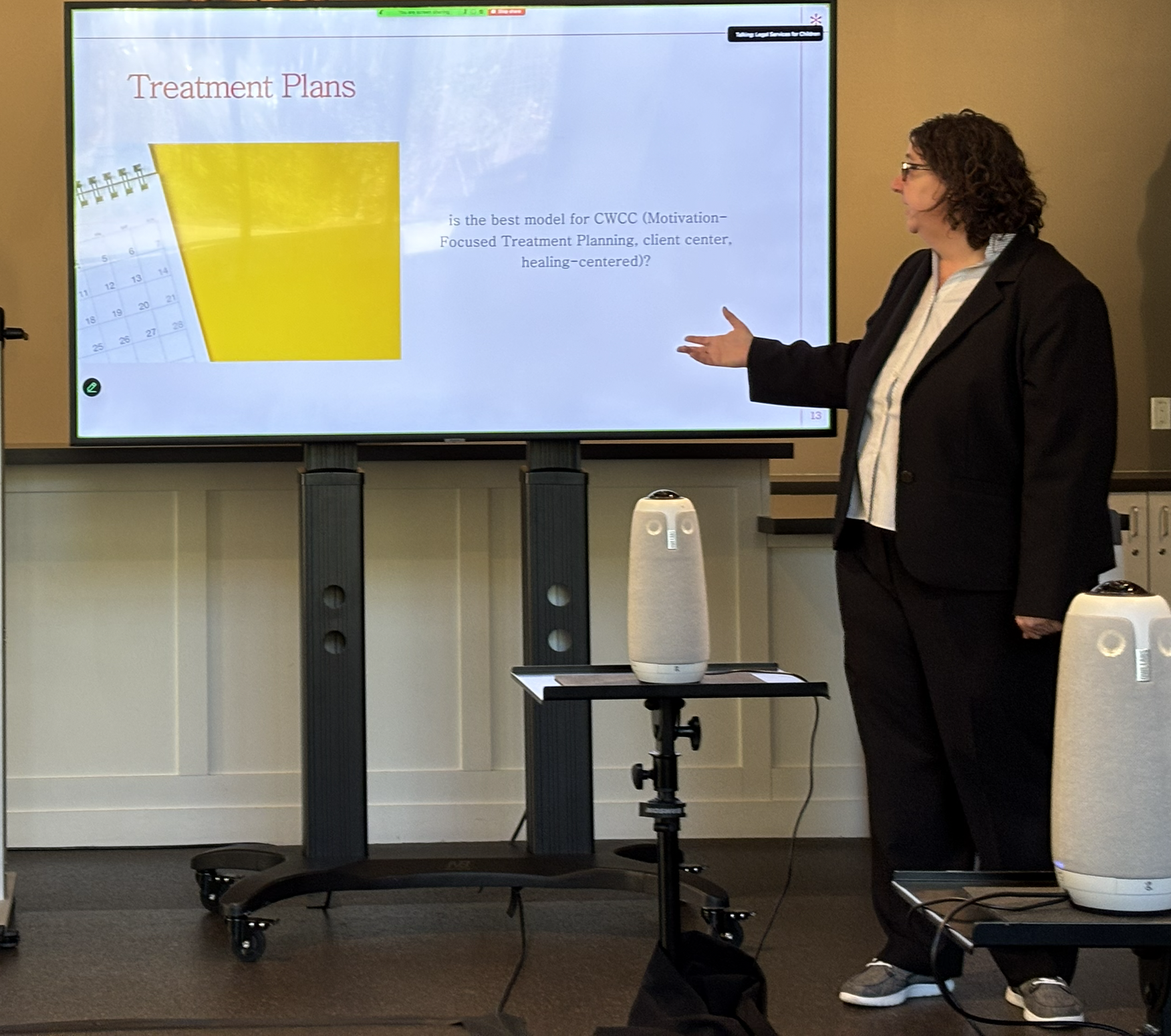 LSC Senior Attorney Jen Daly leading a discussion on treatment plans at a collaborative court design strategic planning retreat